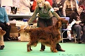 Crufts2011_2 053